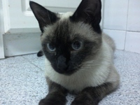 Zita